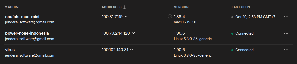 Gambar Daftar Device pada Tailnet